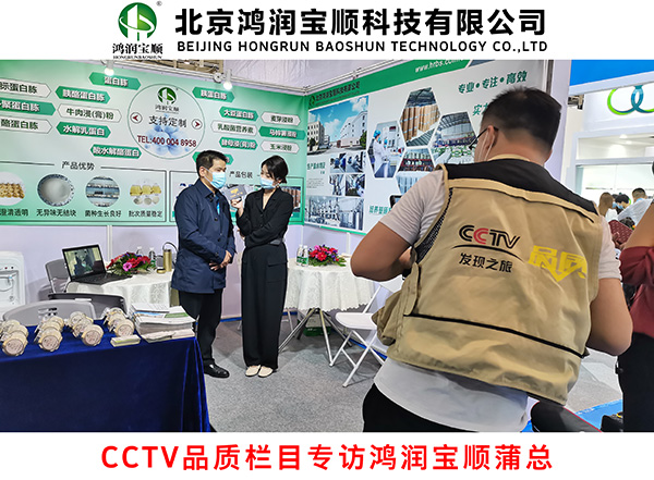 CCTV品质栏目专访鸿润宝顺蒲总.jpg