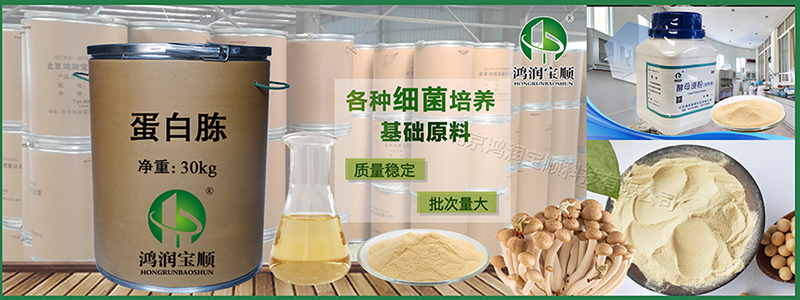 Hongrun Baoshun's Peptone is Widely Applied in the Field of Edible Fungus