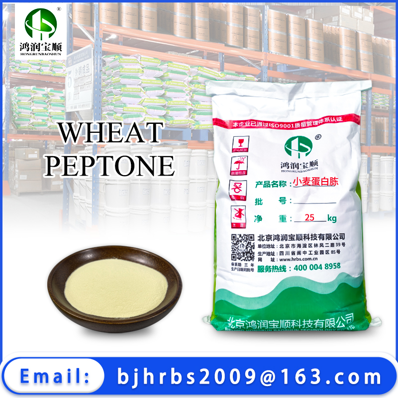 Wheat  Peptone