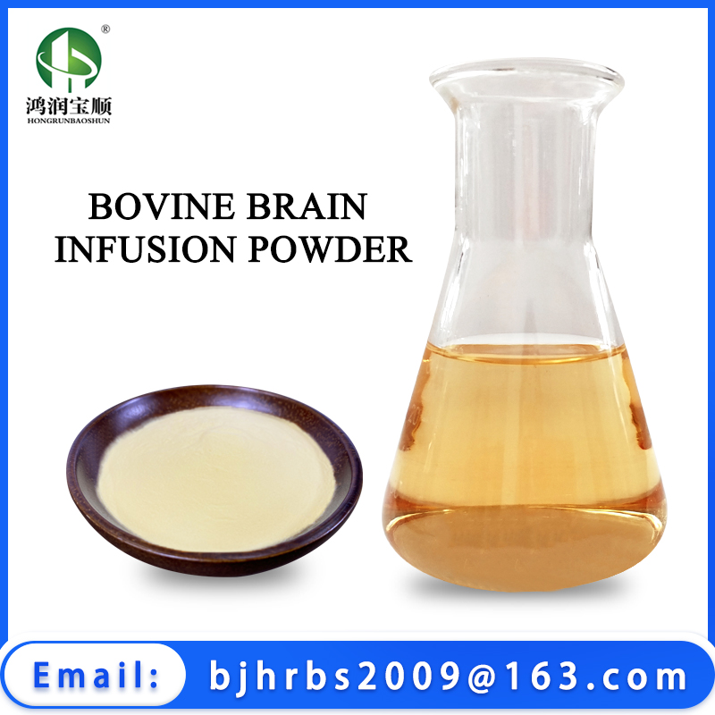 Bovine Brain Extract Powder